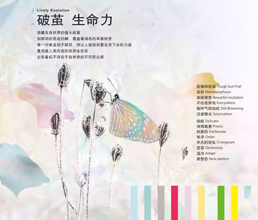 產品開發